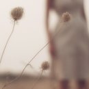 봄, 희망의소리 이미지