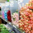 양재시장 이미지