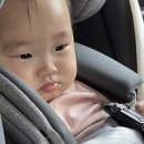 하은이네과일