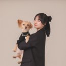 오엠스튜디오 이미지