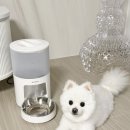 펫영양사 | [반려견] 수린펫 4리터 어플연동 자동급식기ㅣ내 목소리로 알려주는 밥시간! 강아지자동급식기 추천