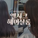 엘시크 이미지