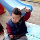 범준농장 네이버블로그