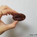 커피콩빵&핫도그 이미지