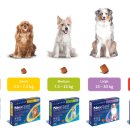 장천드림약국 이미지