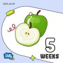 새희망약국 | 임신일기4] 임신 극초기 5주차 증상과 일상/ 5주차 아기집, 베베폼 국민행복카드