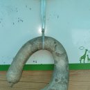 쉼터카페 이미지