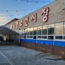 [제주도 맛집] 제주공항 근처 횟집 노형수산시장 재방문의사 100%
