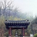 석곡 노루목 Daum카페