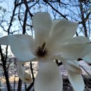 꽃피는언덕 이미지