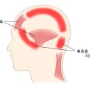 다온에스테틱 - 수원시 장안구 | 다온에스테틱