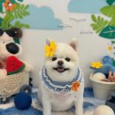 위드뚜뚜 이미지