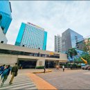 설린마켓 | 세부 여행 3박5일 비용✈️ 여행사추천은 설린호투어