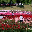 (주)나비원 이미지