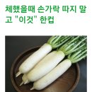 무즙 효능 이미지