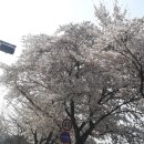 백자리(진골)경로당 네이버블로그