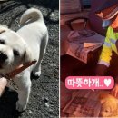 거제경찰서 입구 이미지