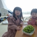 과일도시 이미지