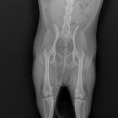 더라온메디칼 이미지