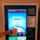 웰리힐리파크 오토캠핑장 이미지