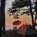 태안 바다드림 캠핑장 초보자 가이드 — 서해 오션뷰와 낙조 감상 꿀팁