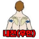 휘트니스 휴 이미지