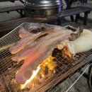 스테이 무코 이미지