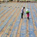 광전1리 이미지