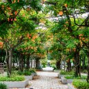 부천중앙공원 이미지