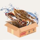 홈플러스 동청주점 | 홈플러스 꽃게 행사 기간 2kg 꽃게찜 내돈내산 후기