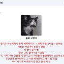 지나간 테스트 몰아하는중 동물짤 테스트 이미지