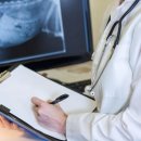 도곡치유동물병원 이미지