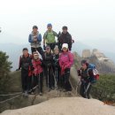 구봉산농장 이미지