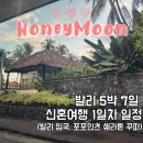 허니문리조트 5박 7일 발리 신혼여행 준비물 및 1일차 후기