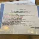 태안 캠핑드림 캠핑장 애견동반 캠핑 후기 A12 왕짱친절함