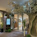 태국푸드 인 드링크1 이미지