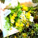 제2회 이웃사촌 가요제 이미지