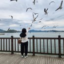 외포리선착장 | 고교 친구, 가족들 봄여행은 강화 교동도 일대로