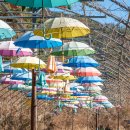 청도레일바이크 이미지