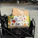 계룡산동학사노래연습장 | [공주] 계룡산 글램핑 ‘파크오브드림’