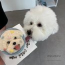 까까가개 이미지