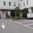 예쁜돼지 이미지