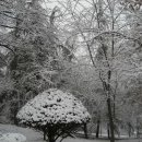 사랑다실 이미지