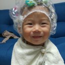 파마짱 이미지