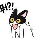독일효소
