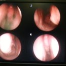 오월애한의원 이미지