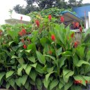 다곡보건진료소 이미지