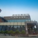 우강민물장어