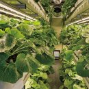 스마트큐브 1차 이미지