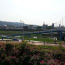 군자교